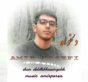 امیر یوسفی دلخواه